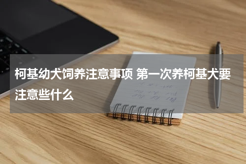 柯基幼犬饲养注意事项 第一次养柯基犬要注意些什么