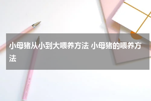 小母猪从小到大喂养方法 小母猪的喂养方法