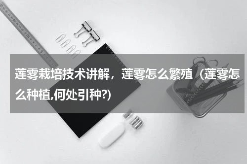 莲雾栽培技术讲解，莲雾怎么繁殖（莲雾怎么种植,何处引种?）