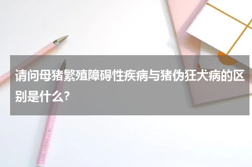请问母猪繁殖障碍性疾病与猪伪狂犬病的区别是什么？