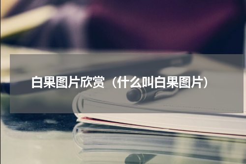 白果图片欣赏（什么叫白果图片）