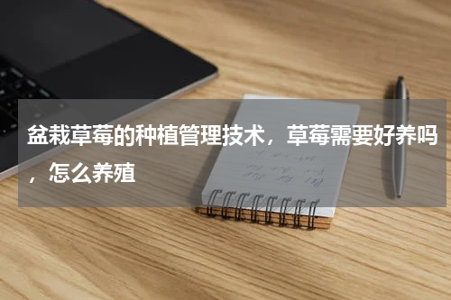 盆栽草莓的种植管理技术，草莓需要好养吗，怎么养殖