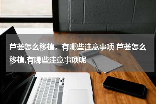 芦荟怎么移植，有哪些注意事项 芦荟怎么移植,有哪些注意事项呢