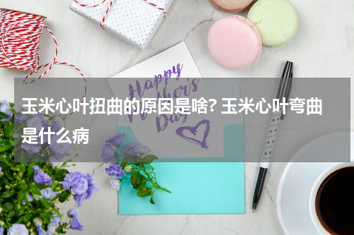 玉米心叶扭曲的原因是啥? 玉米心叶弯曲是什么病