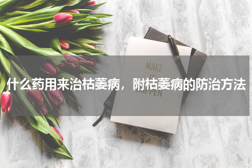 什么药用来治枯萎病，附枯萎病的防治方法