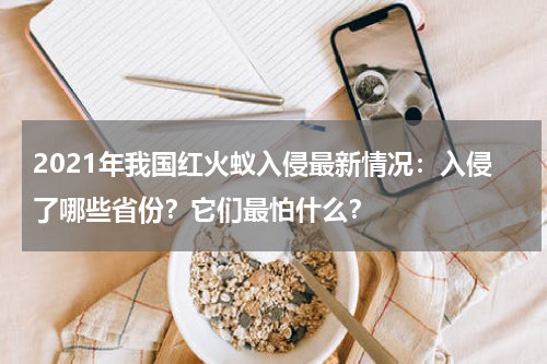 2021年我国红火蚁入侵最新情况：入侵了哪些省份？它们最怕什么？