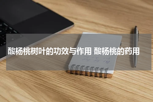 酸杨桃树叶的功效与作用 酸杨桃的药用