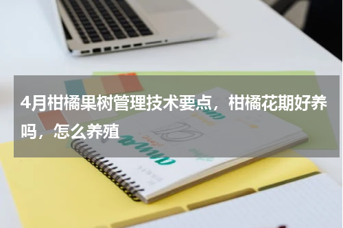 4月柑橘果树管理技术要点，柑橘花期好养吗，怎么养殖