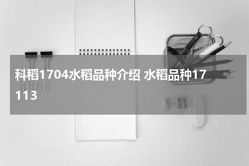 科稻1704水稻品种介绍 水稻品种17113