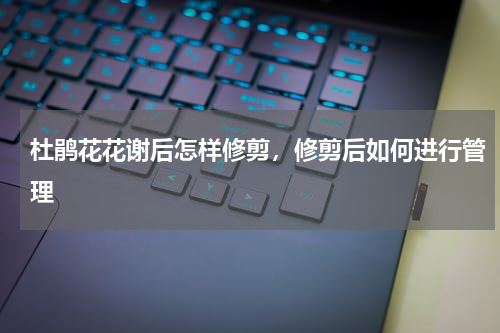 杜鹃花花谢后怎样修剪，修剪后如何进行管理