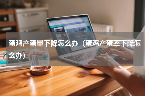 蛋鸡产蛋量下降怎么办（蛋鸡产蛋率下降怎么办）