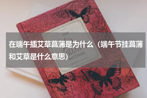 在端午插艾草菖蒲是为什么（端午节挂菖蒲和艾草是什么意思）