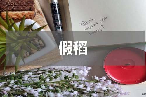 假稻