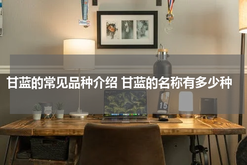 甘蓝的常见品种介绍 甘蓝的名称有多少种
