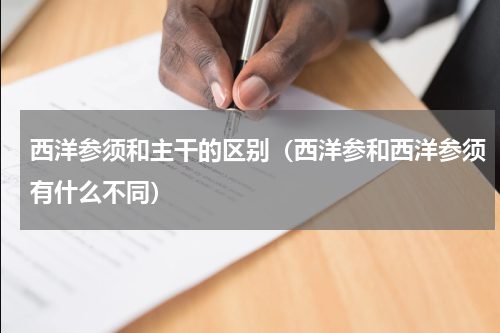 西洋参须和主干的区别（西洋参和西洋参须有什么不同）