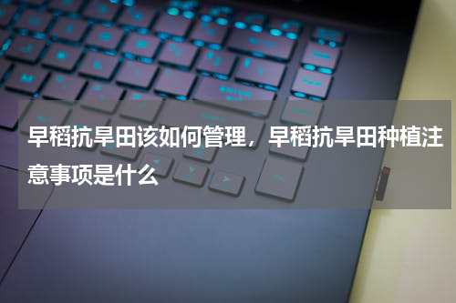 早稻抗旱田该如何管理，早稻抗旱田种植注意事项是什么