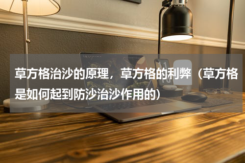 草方格治沙的原理，草方格的利弊（草方格是如何起到防沙治沙作用的）