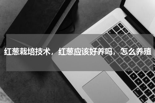 红葱栽培技术，红葱应该好养吗，怎么养殖