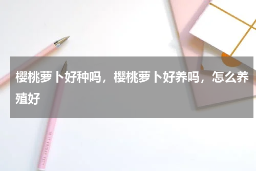 樱桃萝卜好种吗，樱桃萝卜好养吗，怎么养殖好