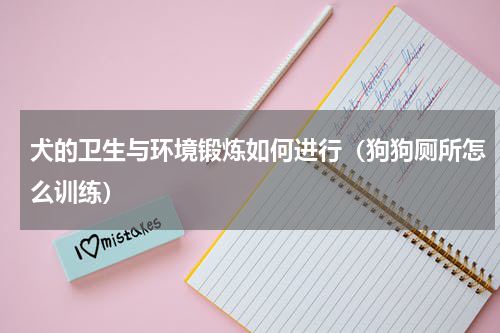 犬的卫生与环境锻炼如何进行（狗狗厕所怎么训练）