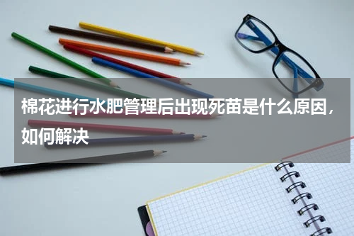 棉花进行水肥管理后出现死苗是什么原因，如何解决