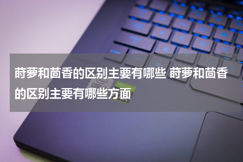 莳萝和茴香的区别主要有哪些 莳萝和茴香的区别主要有哪些方面