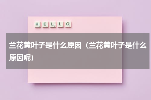兰花黄叶子是什么原因（兰花黄叶子是什么原因呢）