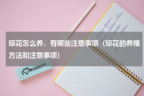 琼花怎么养，有哪些注意事项（琼花的养殖方法和注意事项）