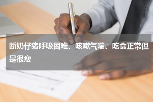 断奶仔猪呼吸困难、咳嗽气喘、吃食正常但是很瘦