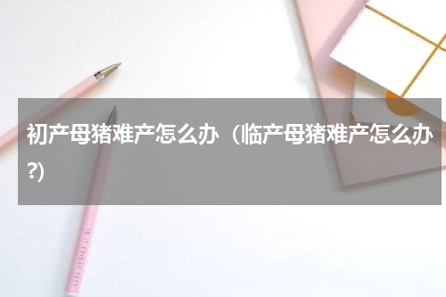 初产母猪难产怎么办（临产母猪难产怎么办?）