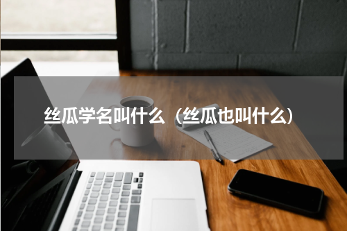 丝瓜学名叫什么（丝瓜也叫什么）