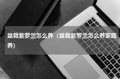 盆栽紫罗兰怎么养（盆栽紫罗兰怎么养家庭养）