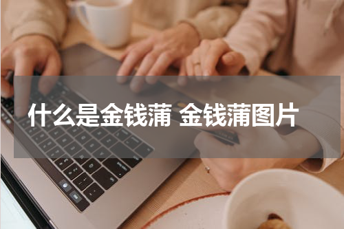 什么是金钱蒲 金钱蒲图片