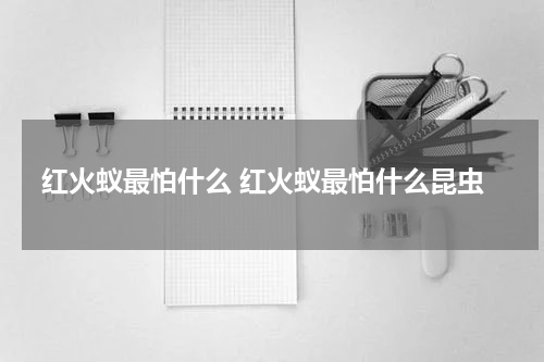 红火蚁最怕什么 红火蚁最怕什么昆虫