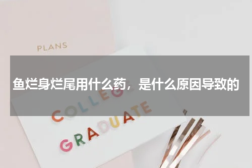 鱼烂身烂尾用什么药，是什么原因导致的