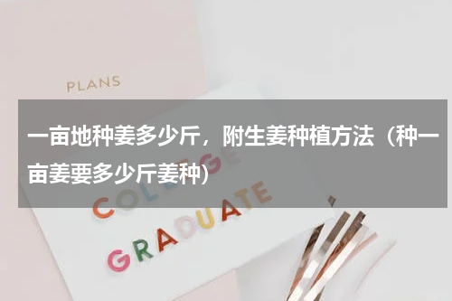 一亩地种姜多少斤，附生姜种植方法（种一亩姜要多少斤姜种）