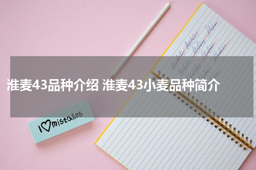 淮麦43品种介绍 淮麦43小麦品种简介
