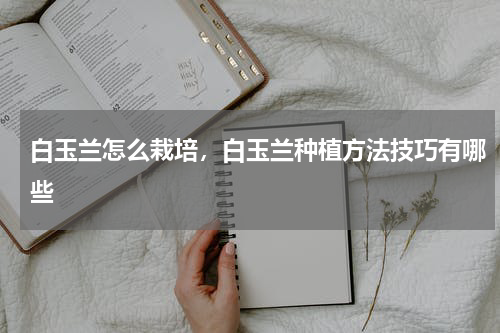 白玉兰怎么栽培，白玉兰种植方法技巧有哪些