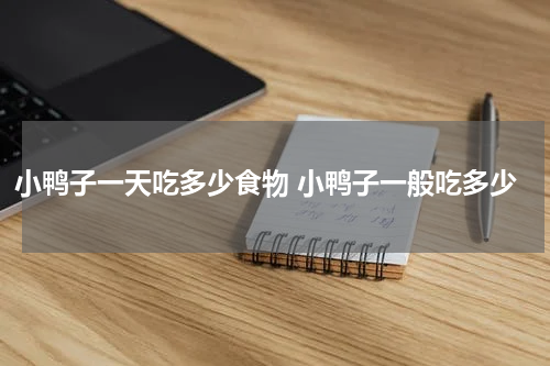 小鸭子一天吃多少食物 小鸭子一般吃多少
