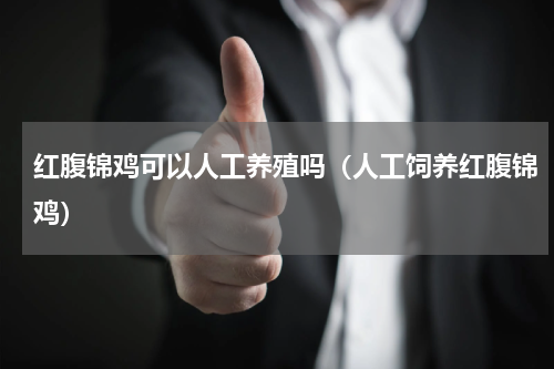 红腹锦鸡可以人工养殖吗（人工饲养红腹锦鸡）