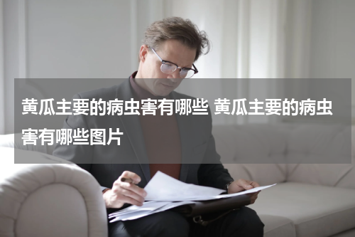 黄瓜主要的病虫害有哪些 黄瓜主要的病虫害有哪些图片