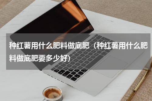 种红薯用什么肥料做底肥（种红薯用什么肥料做底肥要多少好）