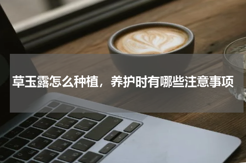 草玉露怎么种植，养护时有哪些注意事项