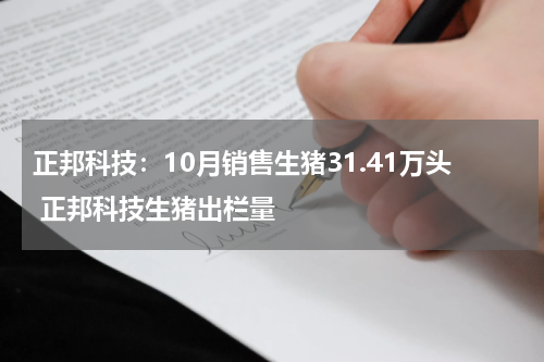 正邦科技：10月销售生猪31.41万头 正邦科技生猪出栏量