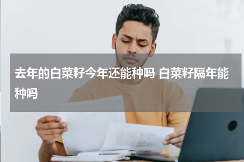 去年的白菜籽今年还能种吗 白菜籽隔年能种吗