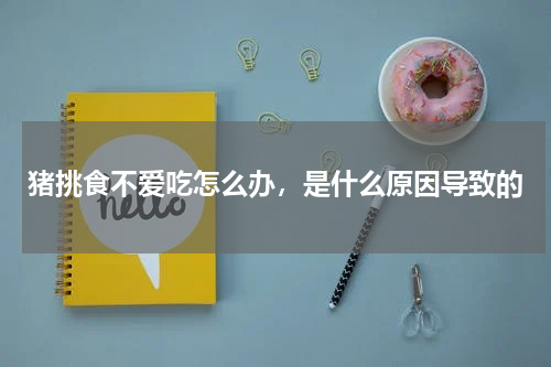 猪挑食不爱吃怎么办，是什么原因导致的