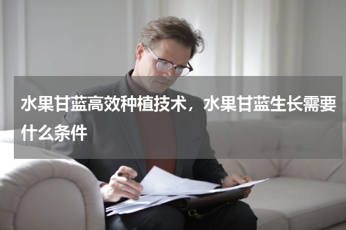 水果甘蓝高效种植技术，水果甘蓝生长需要什么条件
