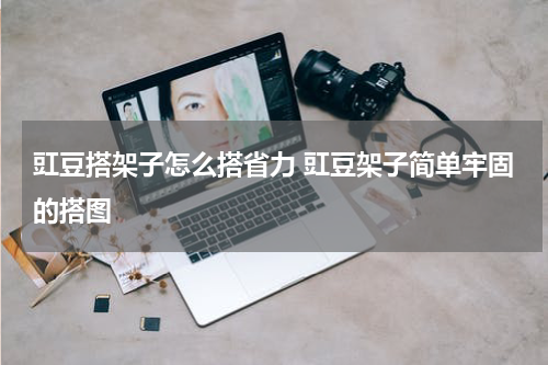 豇豆搭架子怎么搭省力 豇豆架子简单牢固的搭图