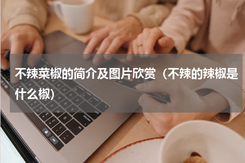 不辣菜椒的简介及图片欣赏（不辣的辣椒是什么椒）