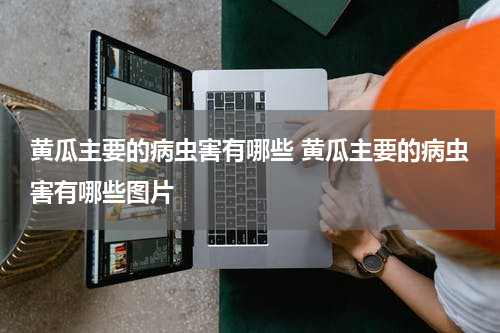 黄瓜主要的病虫害有哪些 黄瓜主要的病虫害有哪些图片